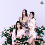 [댓글부탁해] [단독] "'유정 탈퇴' 빈자리 걱정 無…3인조...