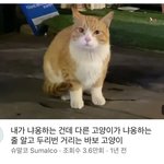내 퍼컬 궁예해줄사람!!!!
