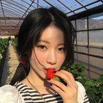 [드루와] <b>베몬</b> 아사 미감 보고가