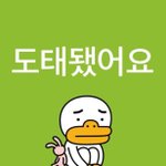 <b>제배</b>원 팬들아 앙딱정