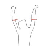 너네 만세했을 때 팔길이 <b>머리통</b> 넘어?