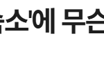 선관위 안에 "외국인공동주택"은 도대체 왜 필요 했을까요?