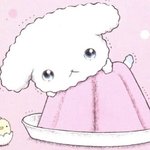 아픈 <b>노견</b>강아지 케어할때가 그립다