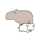 [드루와] 아니 알바 <b>경쟁</b>률 10:1이이야 무친;;