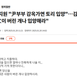 "文이 버린개나 입양해라"김웅 전 국민의힘 의원 민주당 <b>박지원</b>...