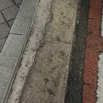 우리<b>집</b> <b>앞</b>에 개귀여운 거 있음