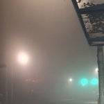 지금 <b>안개</b> 장난아냐