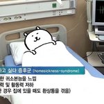 이제 중3인데 키는 <b>가망</b> 없겠지..