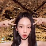 원빈 카리나 한강고양이 챌린지 둘이 <b>손동작</b> 겹치는거 알아?