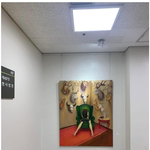 서부<b>지방</b>법원의  그림들