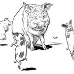 이제는 여자대학교 자제가 <b>남혐</b>병자, 저능아 소굴로 보인다.