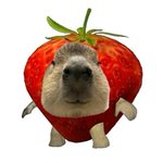 판 <b>오래</b> 한 사람들 잇어?
