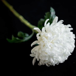 <b>보리차</b>만 먹다 뇌손상으로 숨진 아기...