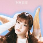 해린 <b>대체</b> 어디서 이런 고양이가 떨어진 거임