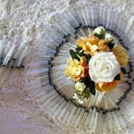 시험관 여자가 개손해임