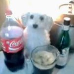 <b>웜</b><b>쿨</b>나누는거빡침