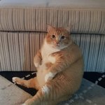 요즘 내 셀카.<b>jpeg</b>