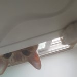 뭐
