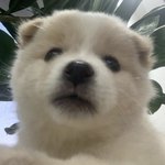 [댓글부탁해] 잘생겨도 <b>집</b><b>돌</b>이면 연애 못하는 듯