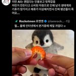 트위터 이런거 ㅈㄴ싫음