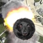 [댓글부탁해] 결혼한 유부녀가 유부녀인 이유