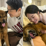 전진류이서, 개념부부의 정석…"애교쟁이 <b>믹스</b>견 임시보호 중"