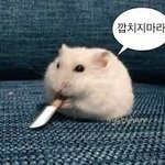 [댓글부탁해] 나 <b>남미</b>새 관상인가?