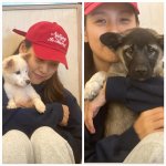 [모두드루와] 이효리, ❤️ 붕어빵 자식자랑! 이상순 밥차리며 “완벽한...
