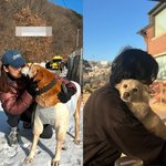 이효리, 이상순과 유기견 봉사 데이트→<b>생선</b> 말리는 며느리 변신