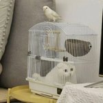 명절 <b>올때</b>마다 사회성 떨어진거 실감함