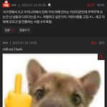 [모두드루와] 연예인들이 진짜 극한 직업이 맞는 듯