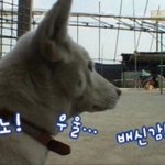[드루와] <b>허리</b> 안좋은 애들 있어?