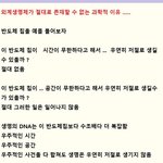 ...... 정말이다 ....      <b>속지</b>마라 ........