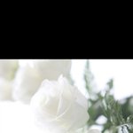 열심 다이어트 요조<b>숙녀</b>인데