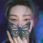 [세븐틴] 팔랑<b>해</b>