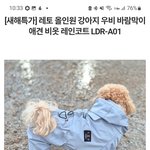 이것두 사주고 <b>시퍼</b>