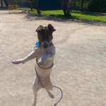 [19] 할맥에서 혼술 에<b>바냐</b>