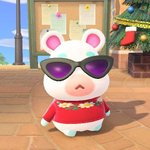 요즘 레오<b>파드</b> 왤케 이뻐보이지