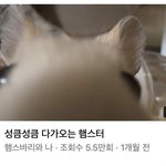 [드루와] 해외여행은 ㅈㄴ급으로 가야하는듯ㅋㅋ