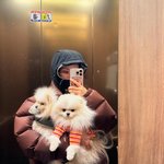 '장동건' 고소영, 가족과 함께 <b>새해</b>인사 "복 많이 받으세요"