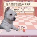 [드루와] 인스타 강아지 <b>릴스</b> 개빡치는거