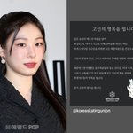 [팝업]김연아 ‘美워싱턴 <b>DC</b> 여객기 사고 희생자’ 피겨 선수단...