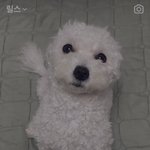 사람 <b>정병</b>은 이해가는데 이건 ㄹㅇ 씹<b>정병</b>
