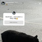 뉴진스 민지 팬사랑 대단하네ㅋㅋㅋㅋ