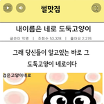 내이름은 <b>네로</b>! 도둑고양이