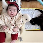 '김다예' 박수홍 딸, 벌써 혼자 앉는 3개월 딸..똘망똘망