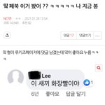 나의 엔시티 덕질 인생 최대 <b>아웃풋</b>