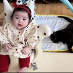 [댓글부탁해] '김다예' 박수홍, 3개월 딸+반려묘 육아도 척척...