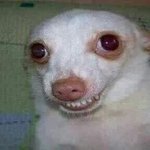 남친이 <b>입</b>으로 <b>내</b> 여드름 짜줌...