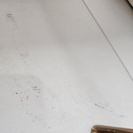 [이것좀봐줘] 장판에 아기발이 갈렸어요